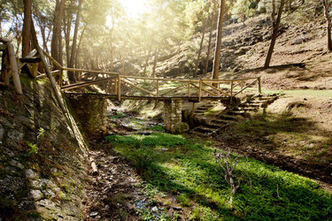 Cañada de las Hazadillas