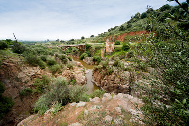 El Piélago
