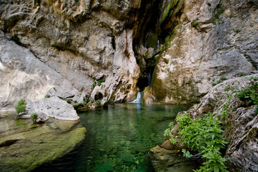 Salto de los Órganos