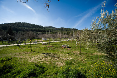 Cerro Miguelico