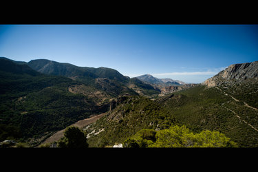 Los Madroñales