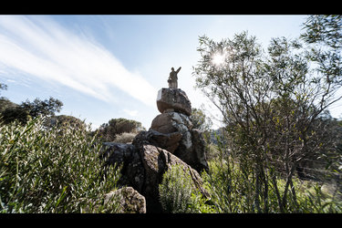 The Pilgrim’s Viewpoint