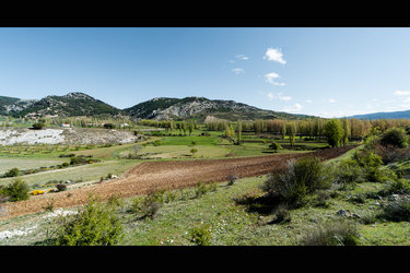 Hernan Perea’s Fields II