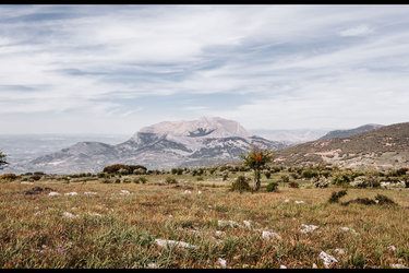 Peña del Águila
