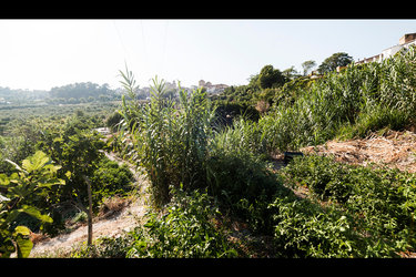 Market Gardens of La Redonda de Miradores